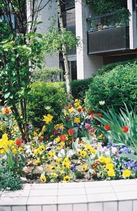 Nid De Reve, Vue Imprenable Sur Et Terrasse 10m2 *